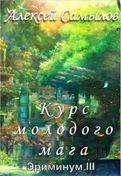 Курс молодого мага