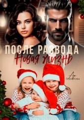 После развода. Новая жизнь (СИ)